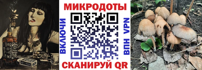 Галлюциногенные грибы Psilocybe  ссылка на мегу ONION  Болохово 